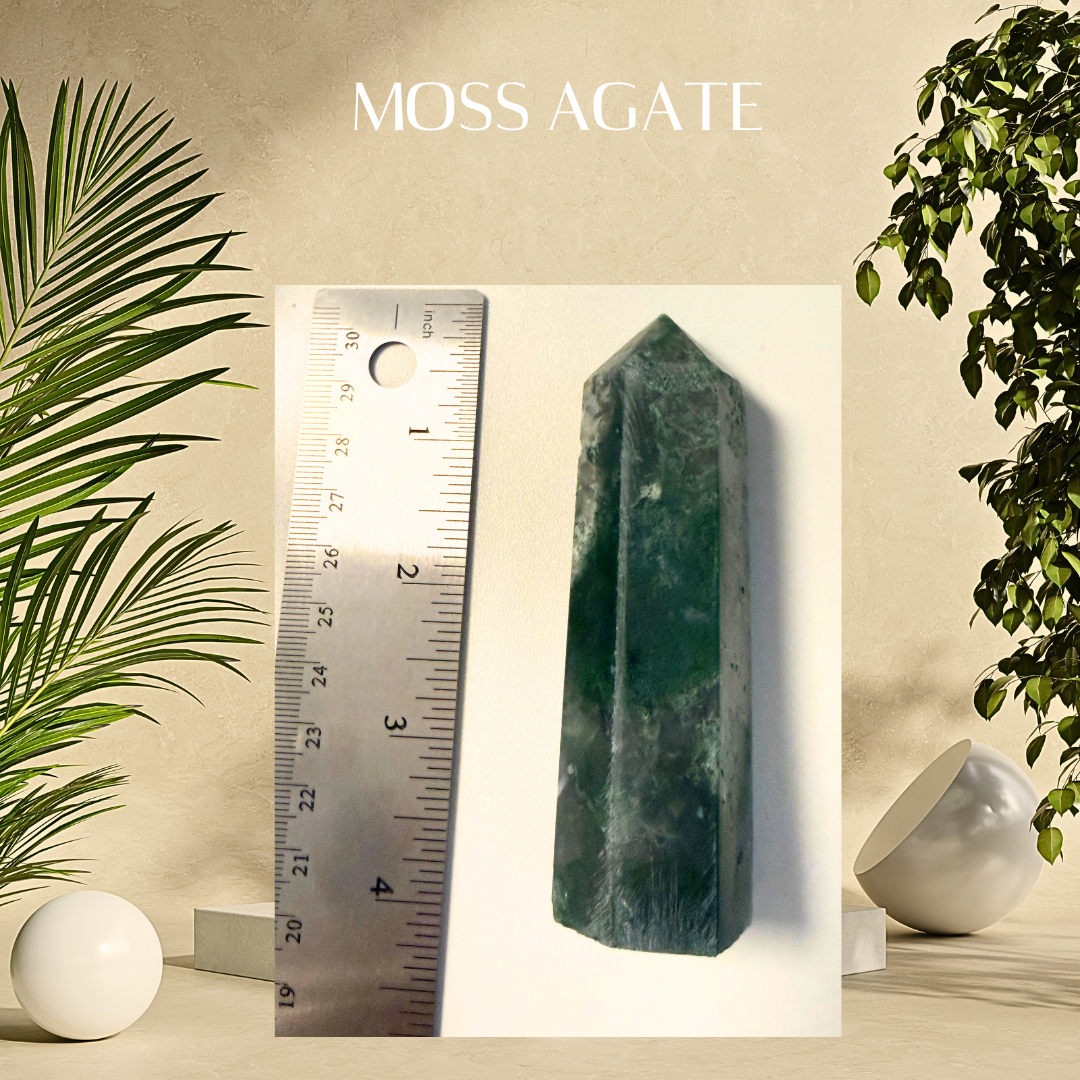 Moss agate crystal with a ruler for scale, surrounded by plants on a neutral background