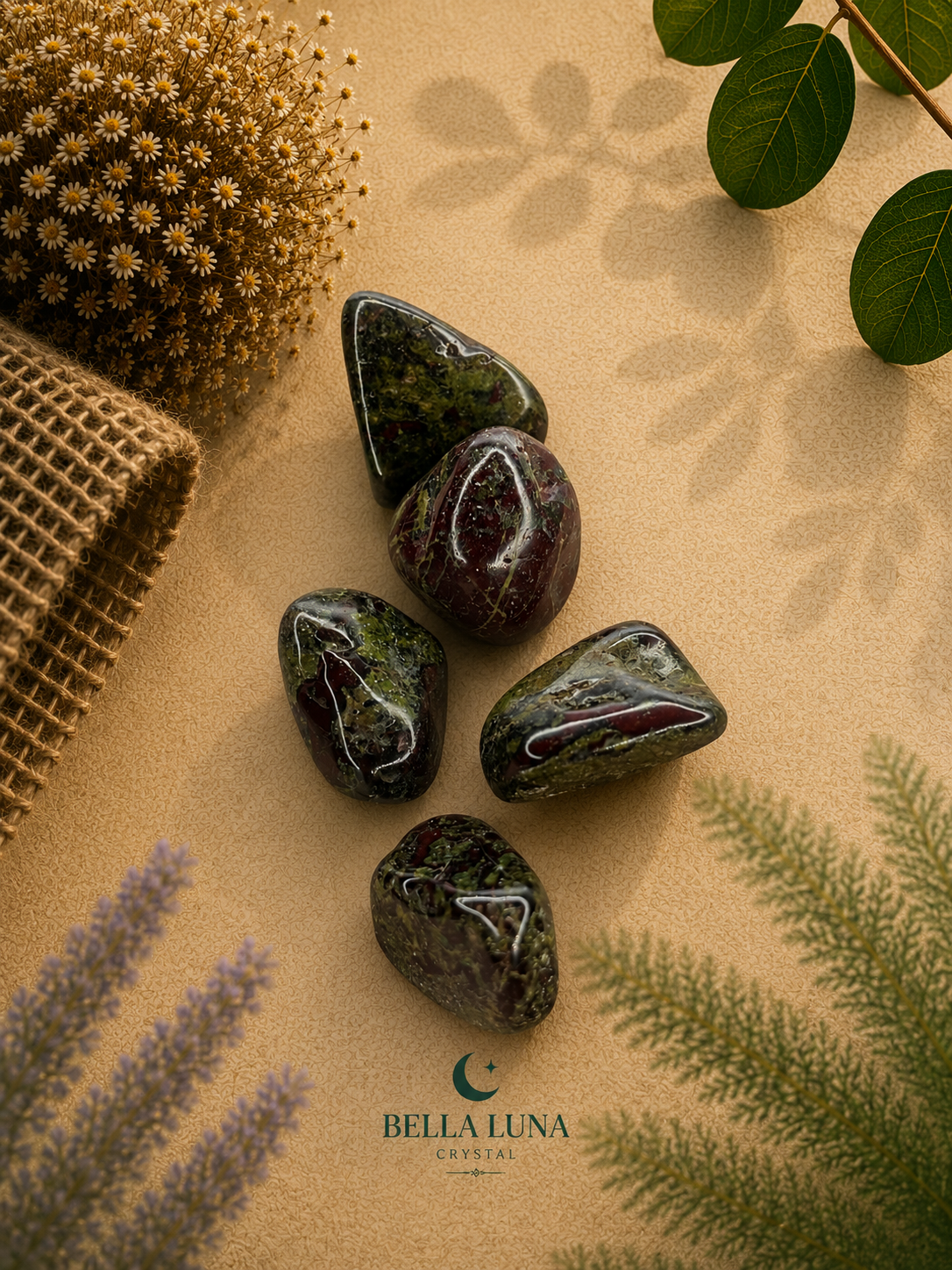 Five polished tumbled crystals in dark green, black, and reddish-brown hues with white veining, arranged on a textured beige surface with decorative botanical elements. The brand name 'BELLA LUNA CRISTAL' is printed at the bottom.