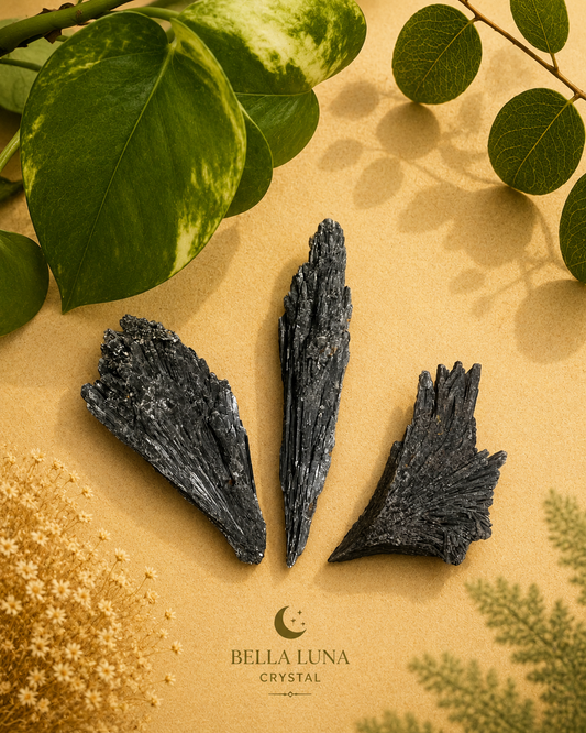 Three dark, textured crystal formations arranged on a warm beige surface with decorative green leaves and dried flowers. The Bella Luna Crystal brand name is printed at the bottom.