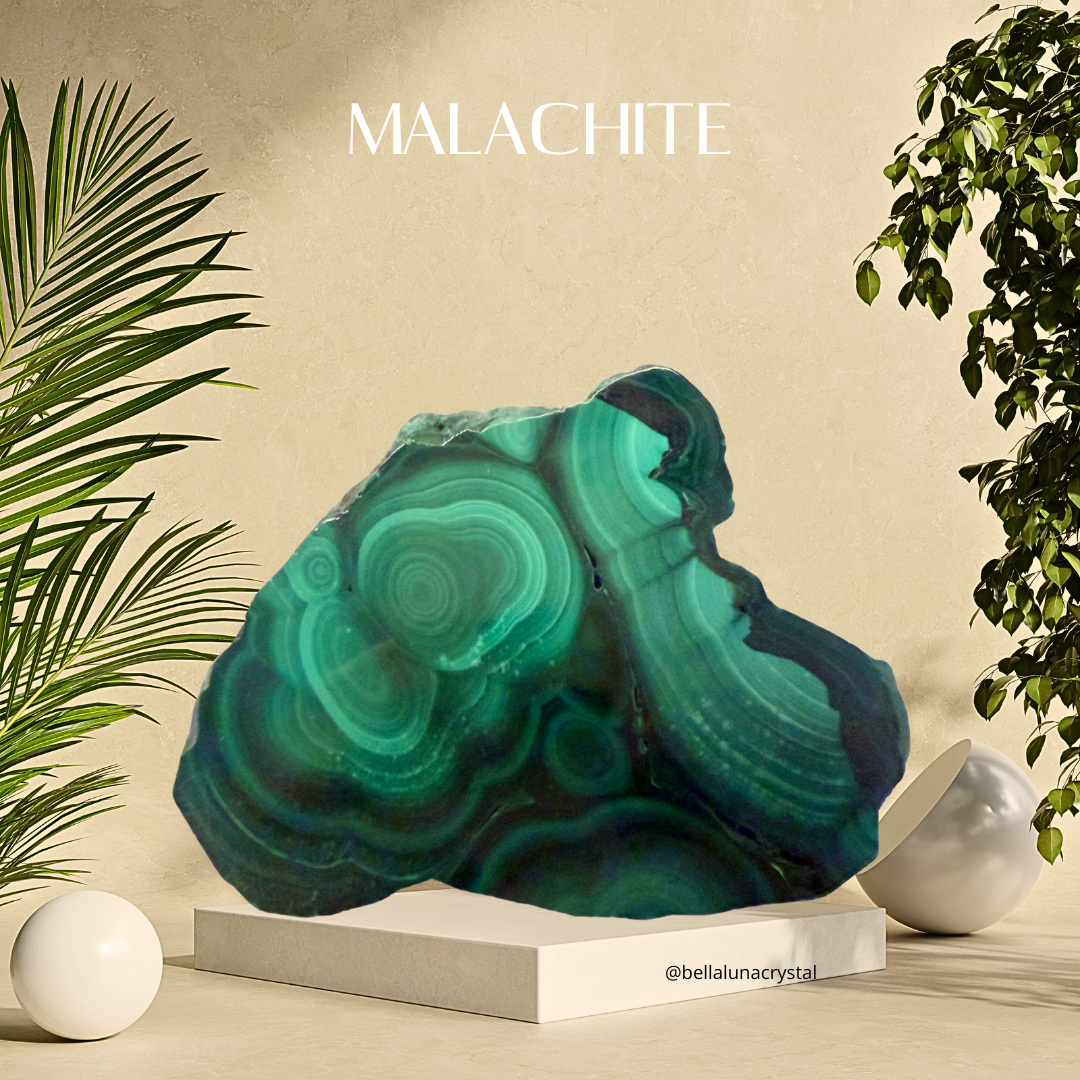 Malachite crystal on a beige background with plants