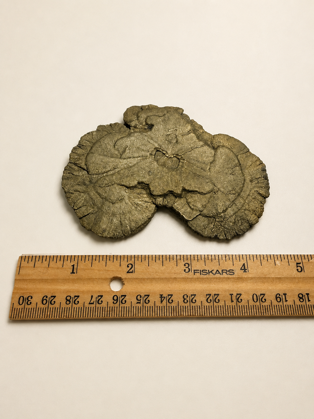 natural-pyrite-sun