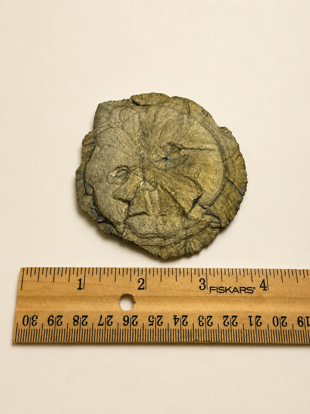 A small irregular stone or rock specimen with a carved face-like relief, shown above a wooden ruler on a plain light background. The ruler includes the brand name FISKARS.