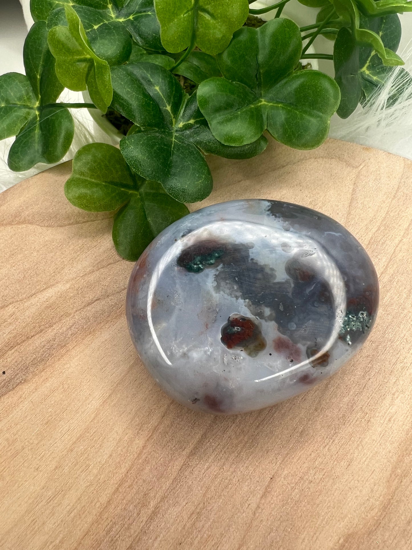 An Ocean Jasper Palm 8th Vein stone with a smooth, polished surface, displayed on a wooden surface with green leaves in the background.