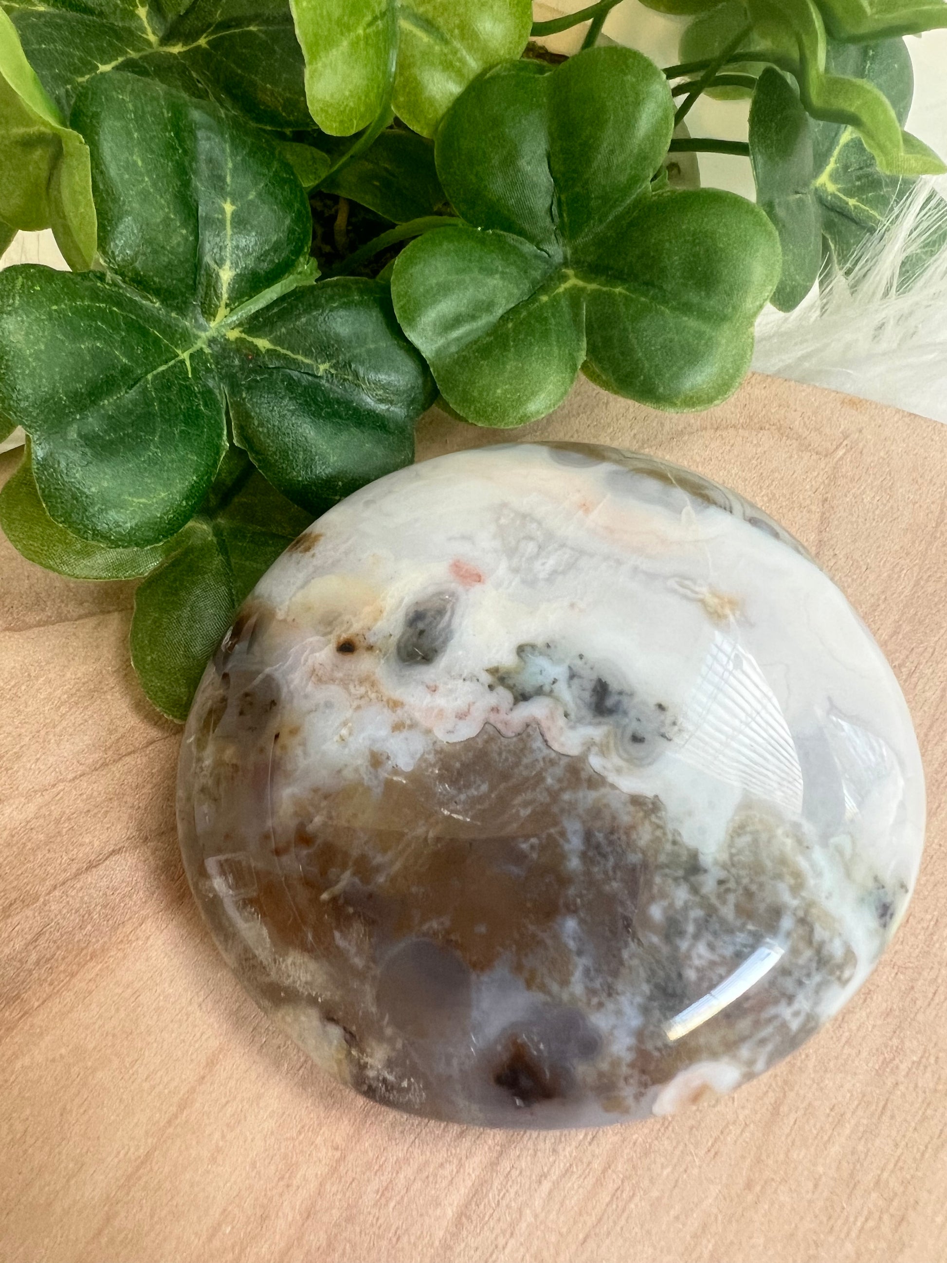 ocean-jasper-collector-specimen