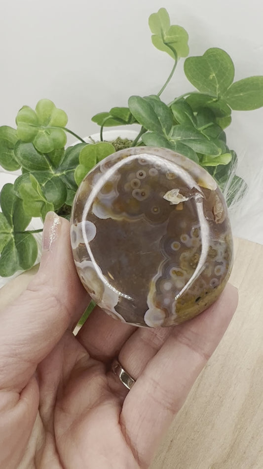 Ocean Jasper Palm 8th Vein (B50)