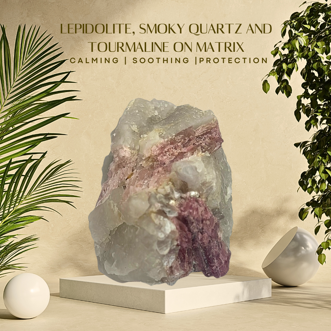 A crystal specimen of Lepidolite, Smoky Quartz, and Tourmaline on Matrix, placed on a white stand with a green background and palm leaves in the background.