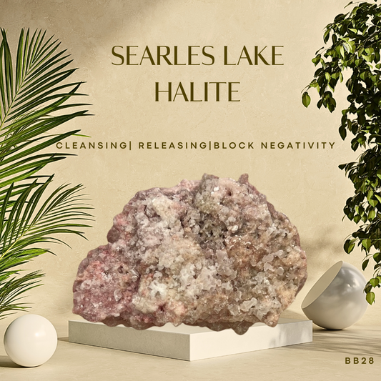 A halite crystal specimen from Searles Lake, CA, displayed on a white stand against a tropical-themed backdrop with palm leaves and a white sphere in the background, with the text 'Sea’s Lake Halite' and 'BB28'.