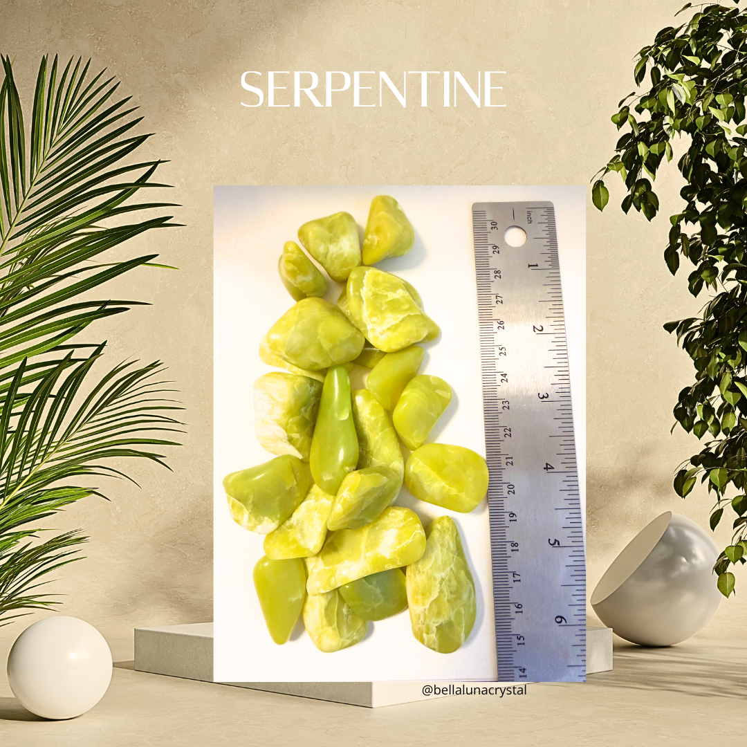 Serpentine stones with a ruler for scale on a neutral background with plants.