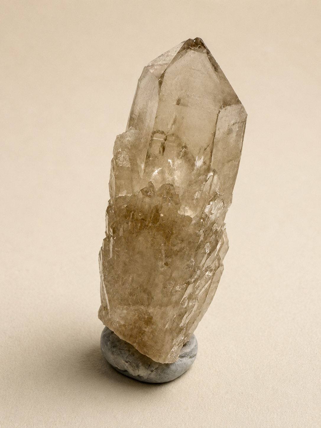 A natural smoky quartz crystal cluster with a gray stone base, photographed against a solid beige background.