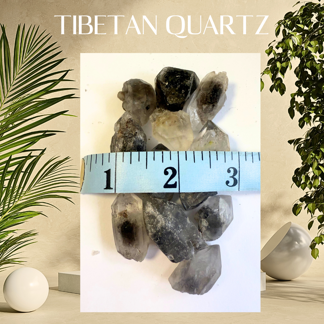 Tibetan Quartz stones with a measuring tape for scale, set against a neutral background with plants.