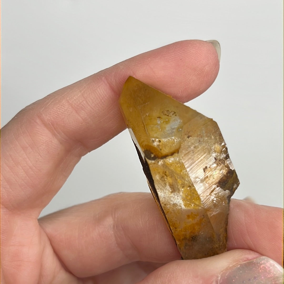 Golden-healer-ark