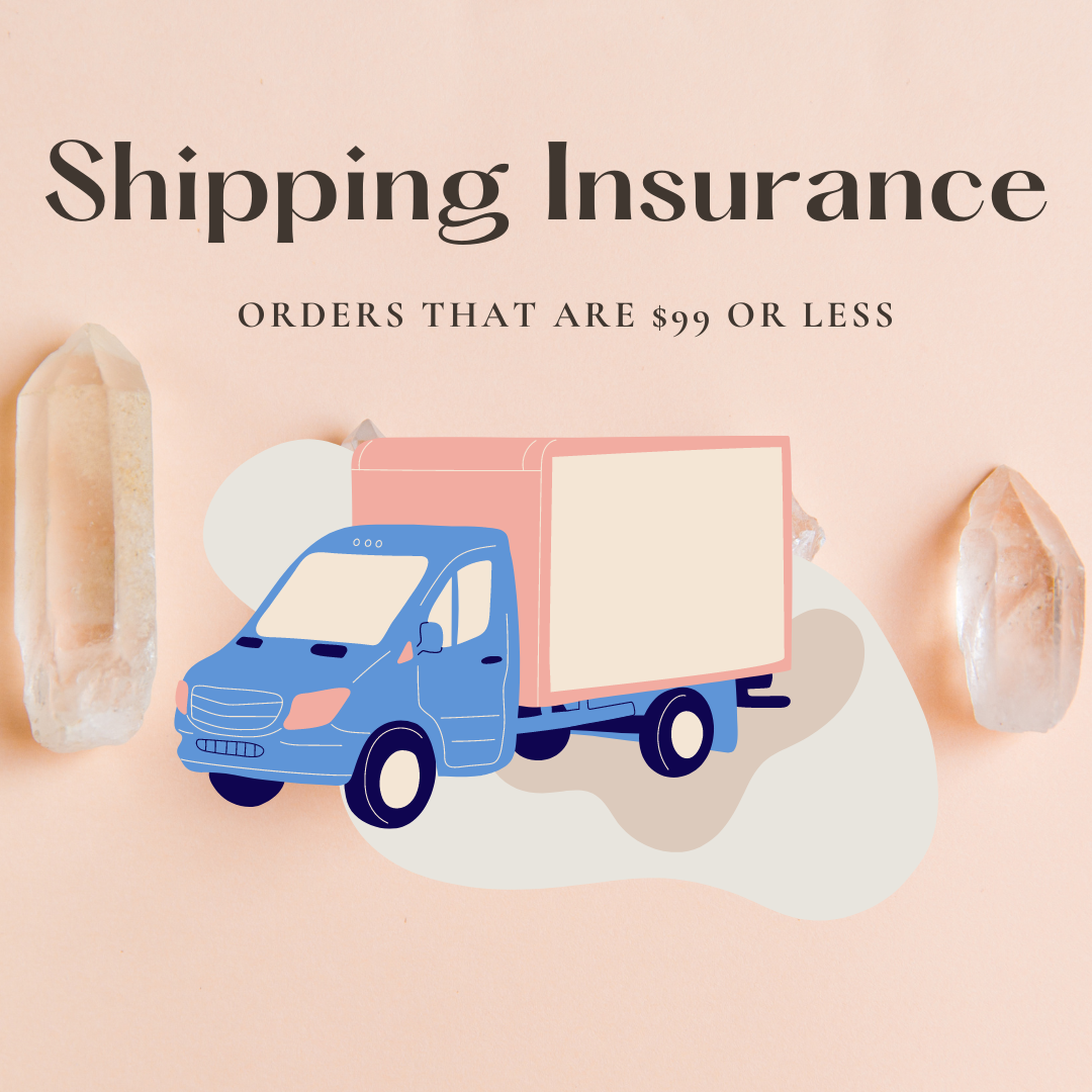 Shipping Insurance ($100 or less)