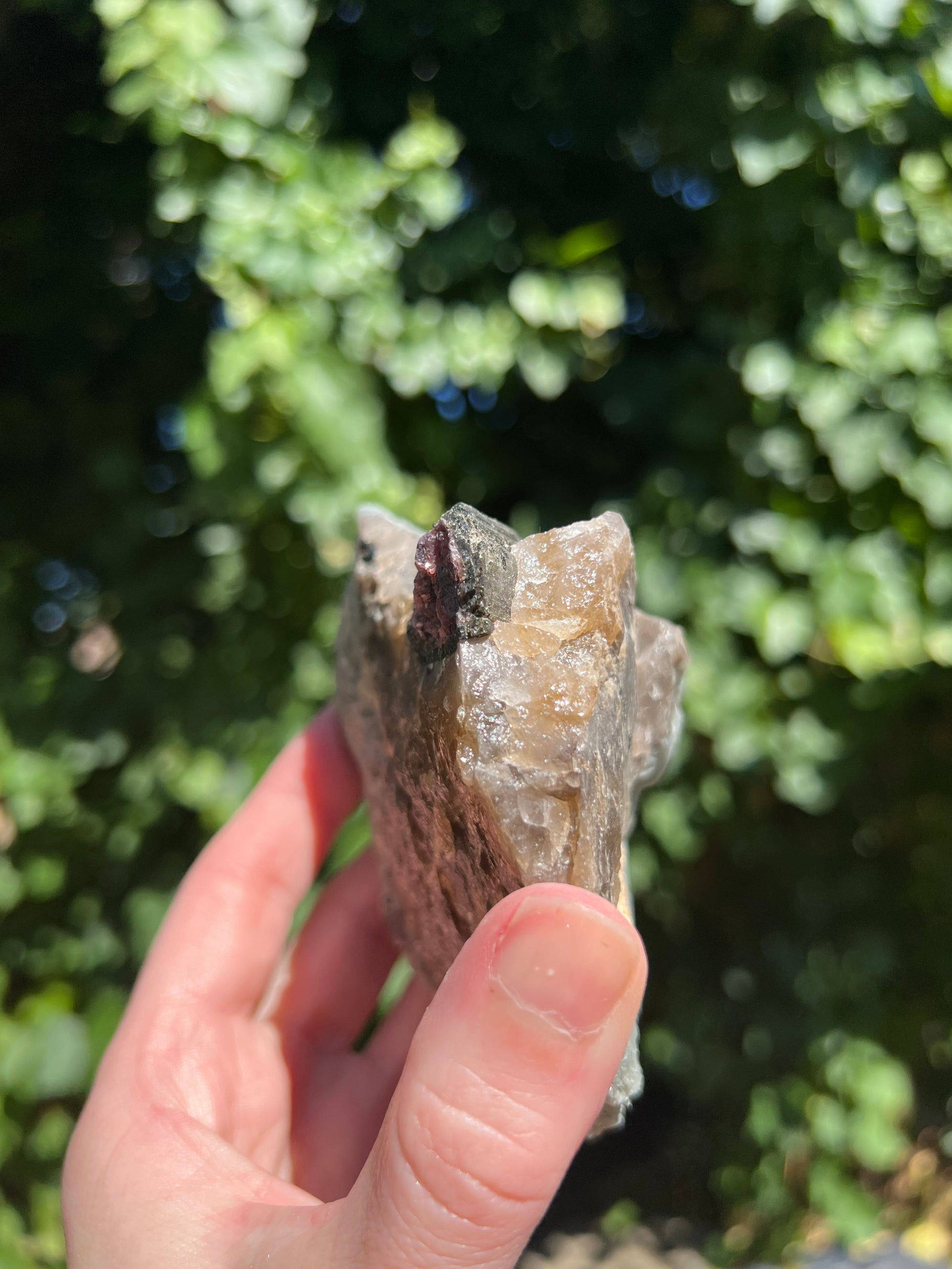 citrine-mixed-mineral-specimen-001
