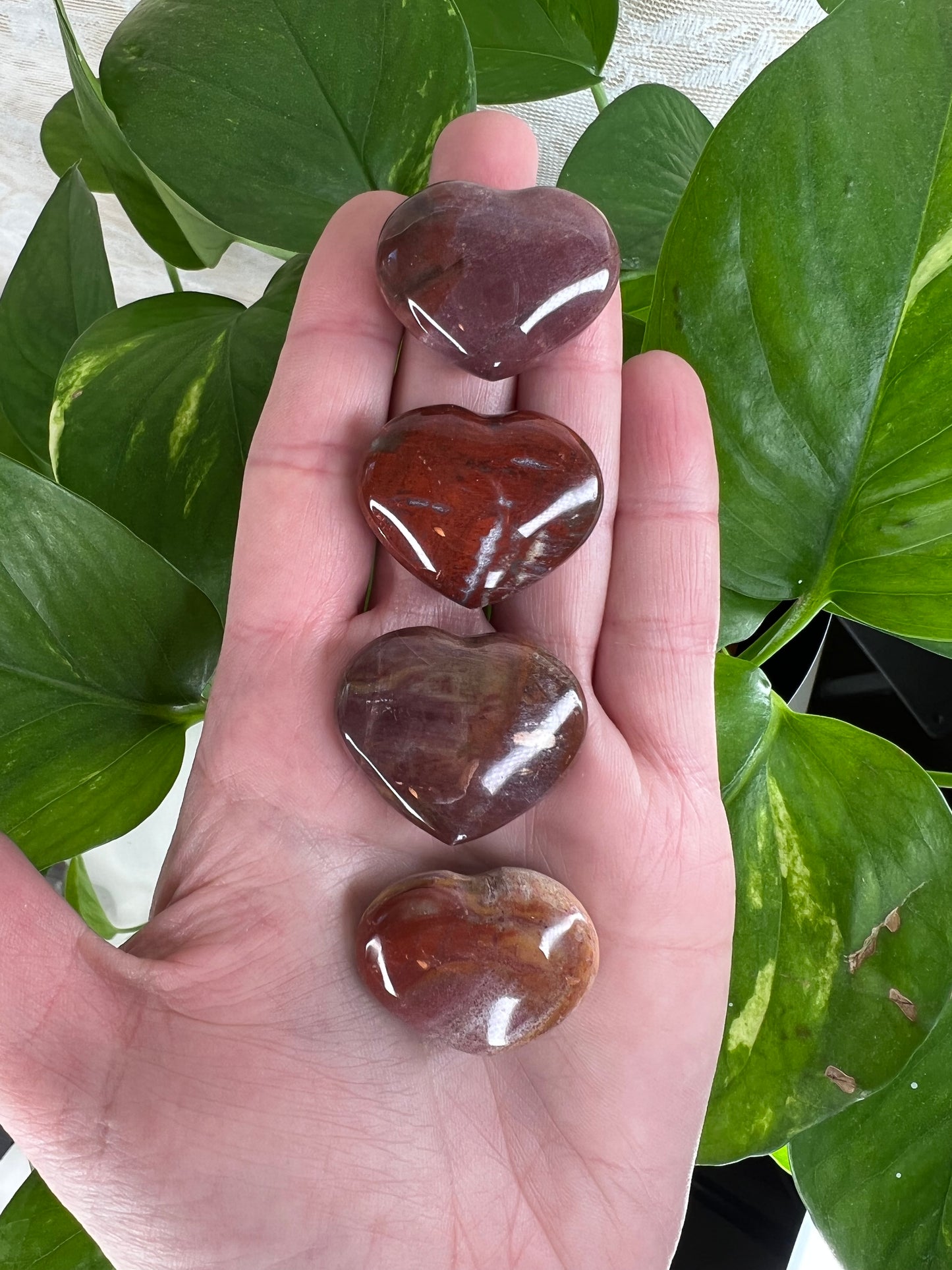 Petrified Wood Heart Small