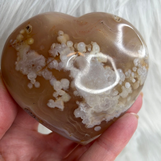 Flower Agate Heart (B72)